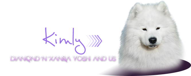 samojed DiamondnXamba Yoshi and Us